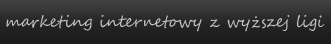 Marketing internetowy z wyższej ligi